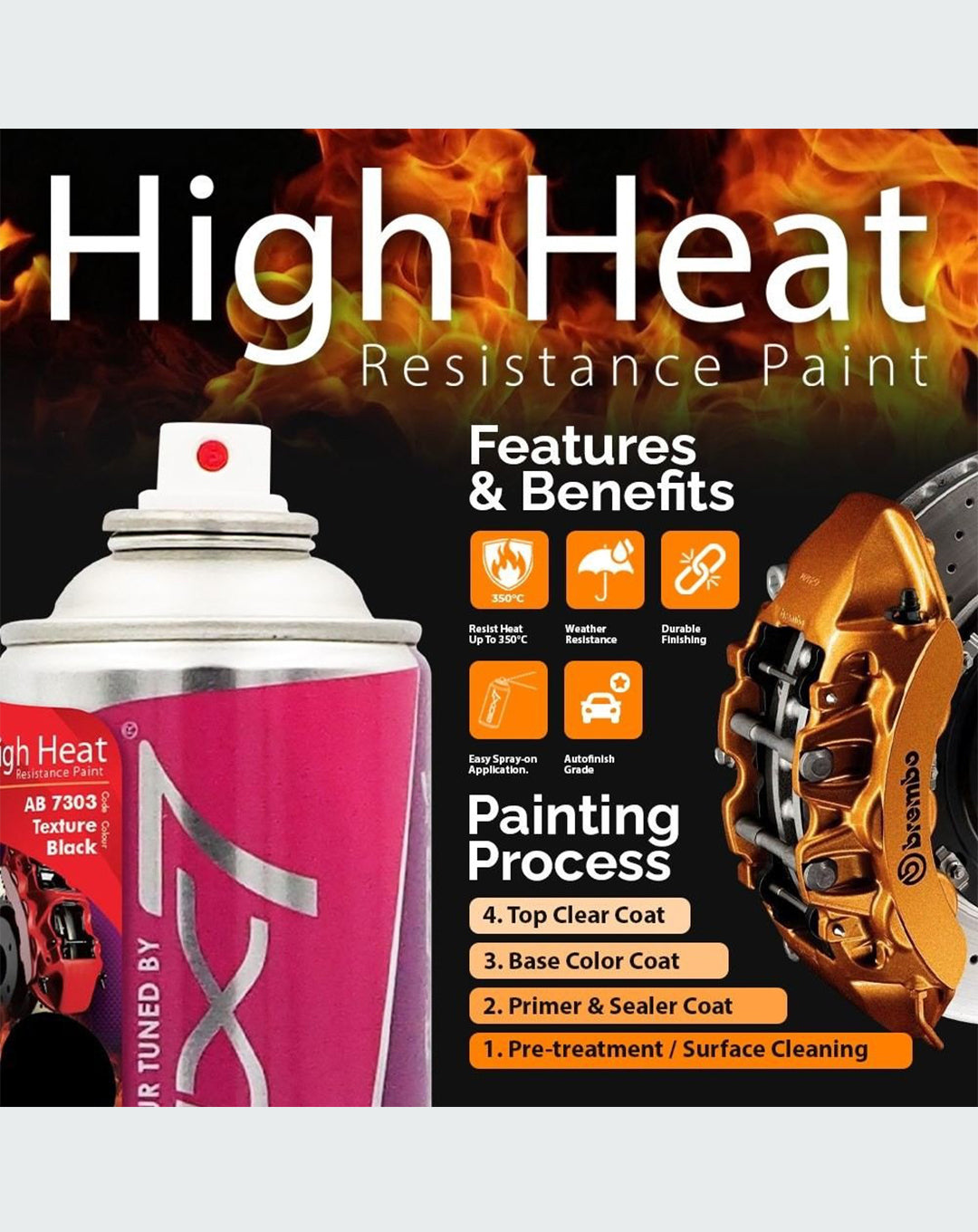 Raypak AB Silver 7313HEAT
