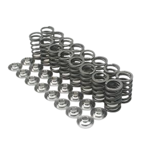 Brian Crower Volkswagen/Audi 1.8T Single Spring & Titanium Retainer Kit