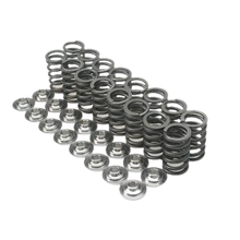 Brian Crower Volkswagen/Audi 1.8T Single Spring & Titanium Retainer Kit