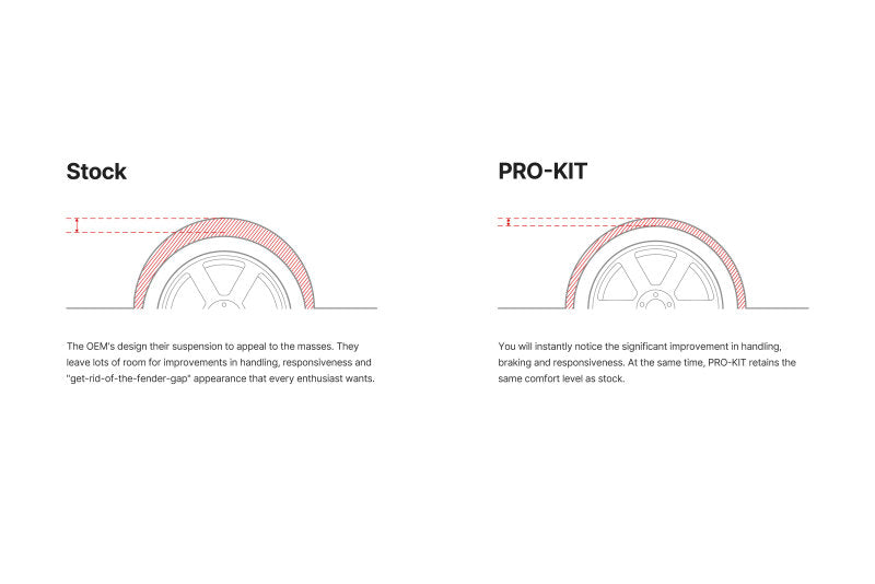 Eibach 22-25 Ford F150 Lightning Pro-System Kit