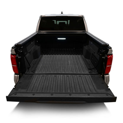 Photo - Mounted