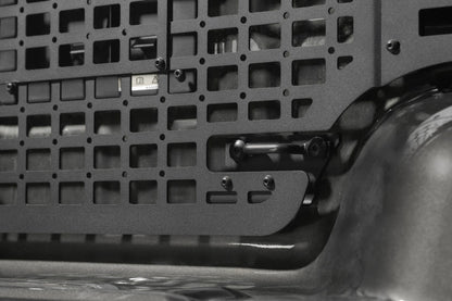 Photo - Close Up